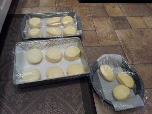 Bomboloni after rising, before frying